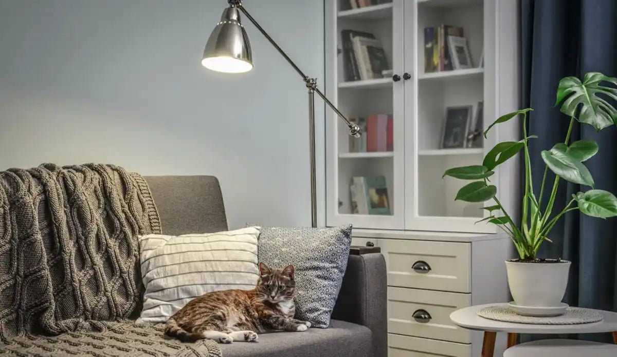 Effective Ways to Keep a Cat from Jumping on Floor Lamps