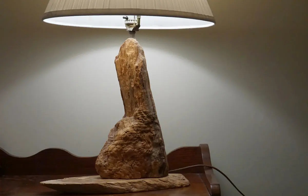 How to Make a Driftwood Floor Lamp 6 Easy Steps