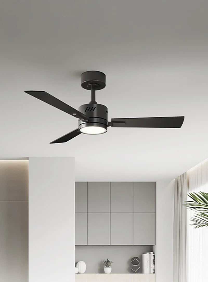 Sunmory Ceiling Fan with Light – Stylish & Quiet Fan Lamp for Modern Homes