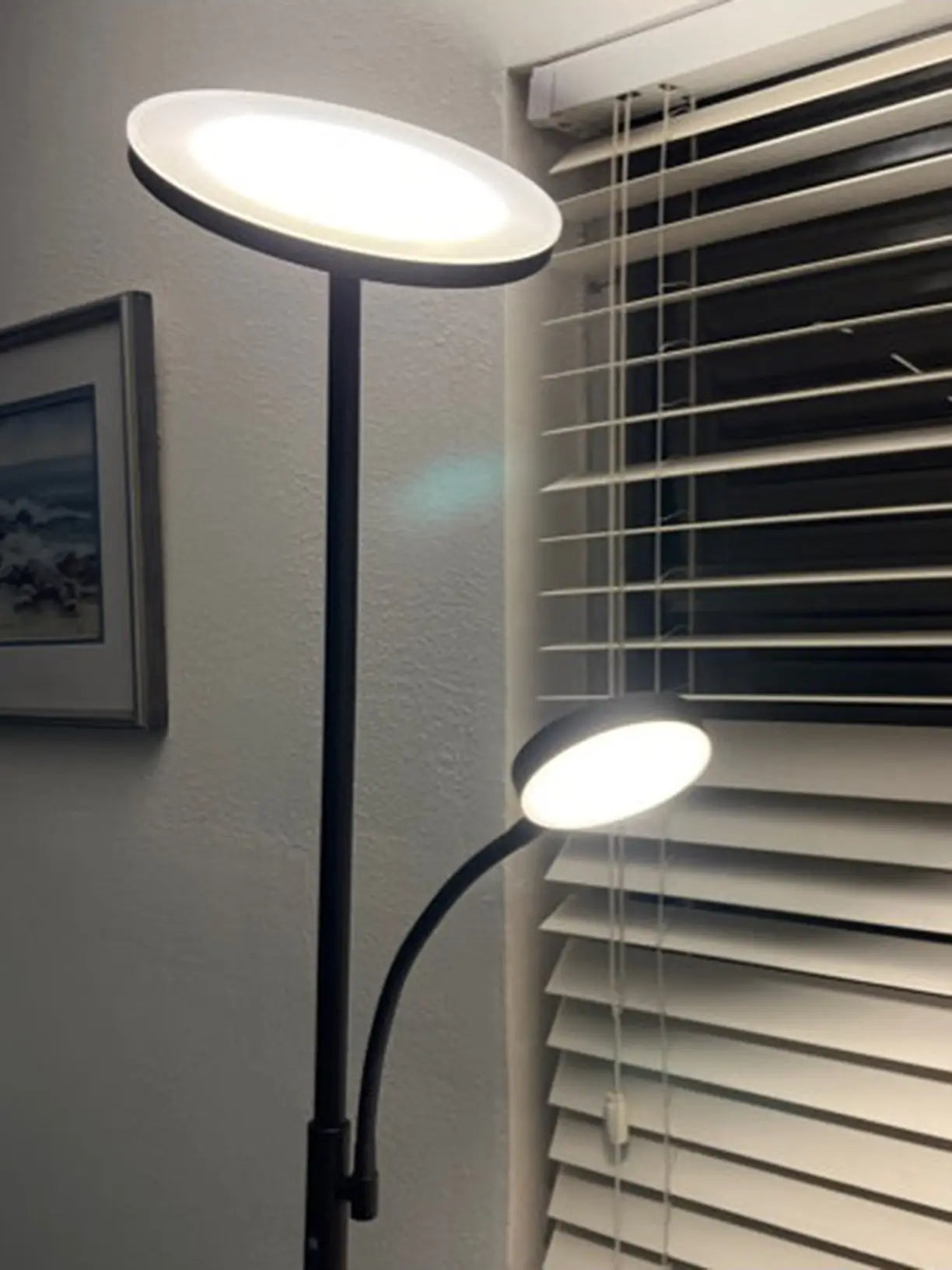 A versatile black torchiere floor lamp featuring an upright main light for general illumination and a flexible gooseneck sidelight for task lighting, ideal for a bedroom or study.