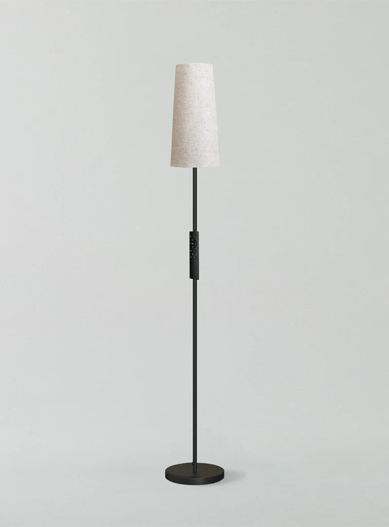 Contemporary Floor Lamps for Living Room/Bedroom/Office