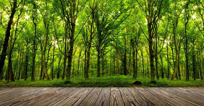Embracing an Eco-Friendly Lifestyle with Sunmory: Sustainable Lighting Solutions