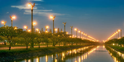 Light Pollution: How much light is too much?