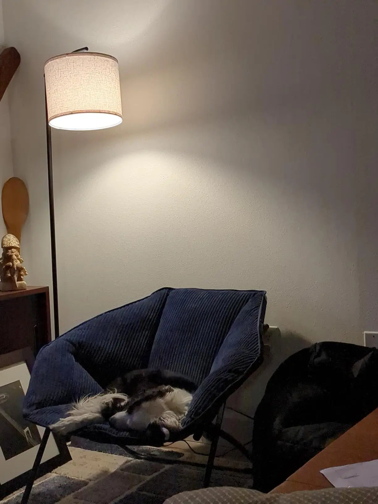 An adjustable arc floor lamp with a metallic finish and a simple, conical shade, providing versatile overhead lighting for a spacious living area with a light-colored sofa.